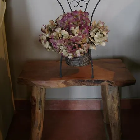 Ardennen-gevoel Bed & Breakfast