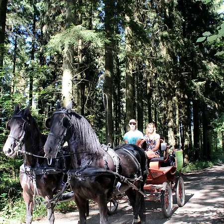 Ardennen-gevoel Alojamento de Acomodação e Pequeno-almoço Marche-en-Famenne